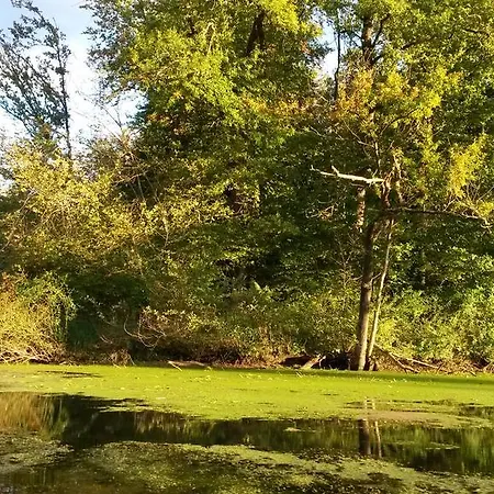 Punkt, 5 Gehminuten Vom Europa-park